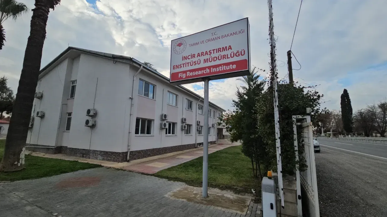 İncirliova İncir Araştırma Enstitüsü