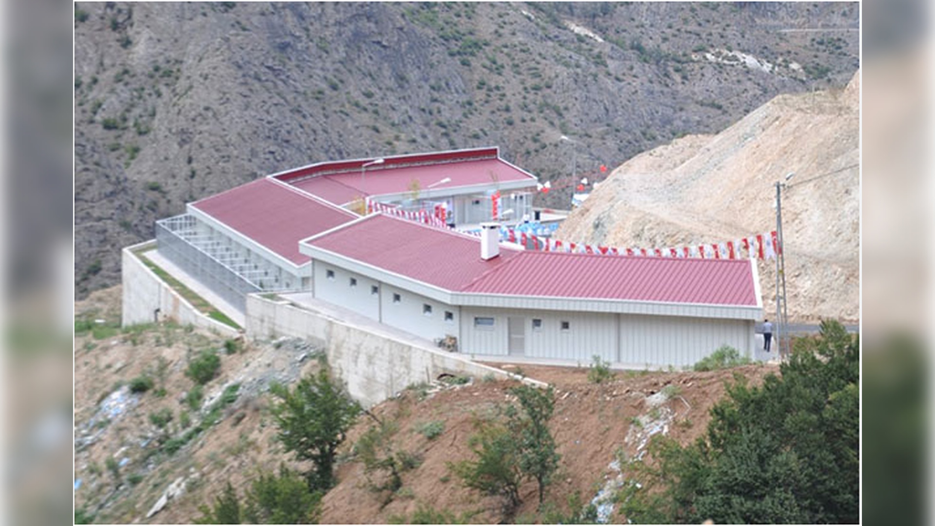 Artvin Hayvan Barınağı