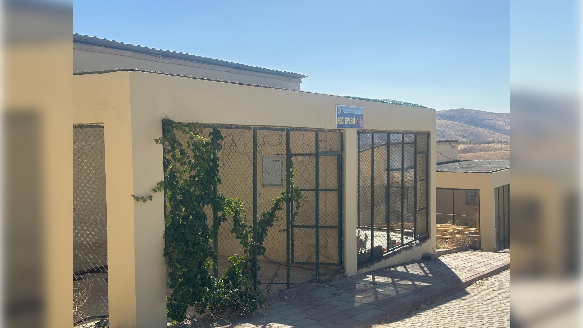 Siirt Belediyesi Sokak Hayvanları Bakım ve Rehabilitasyon Merkezi