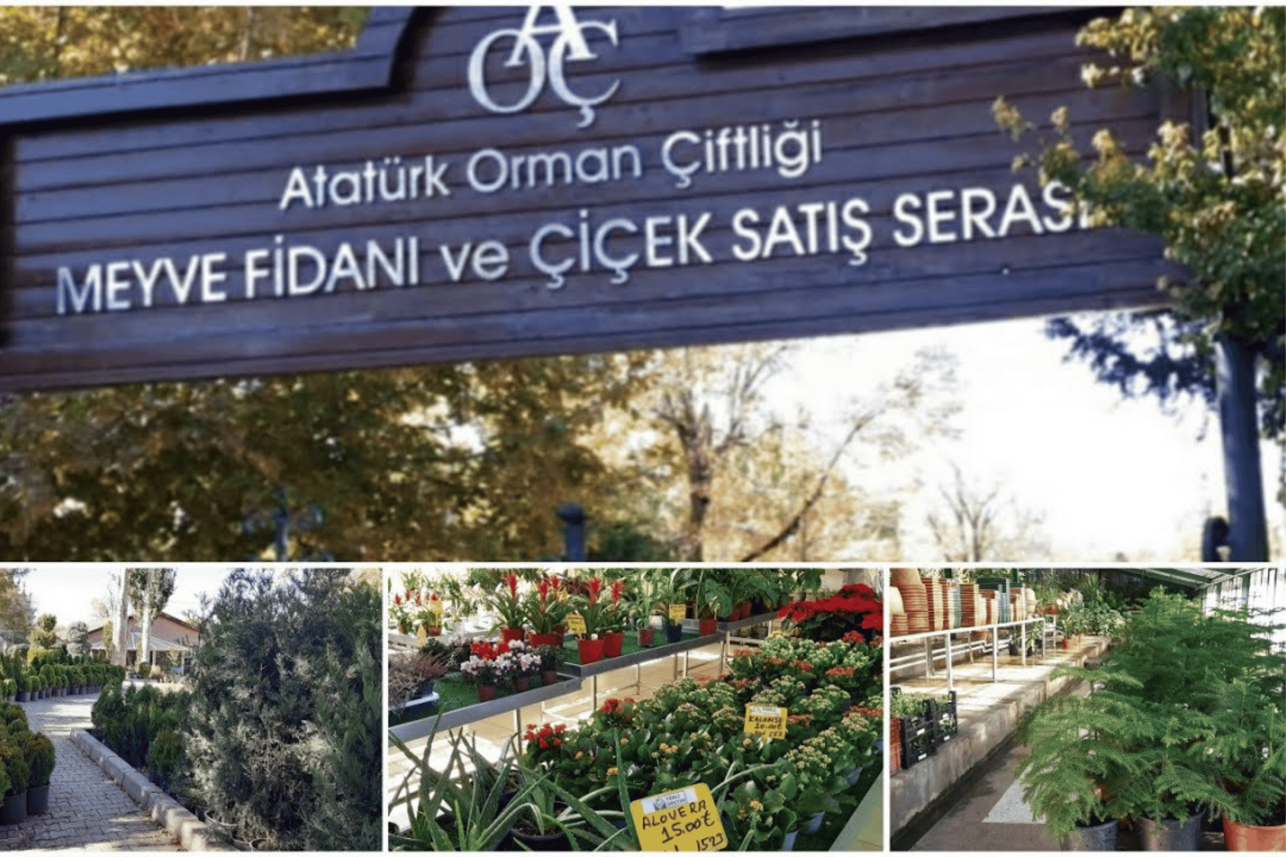 Atatürk Orman Çiftliği