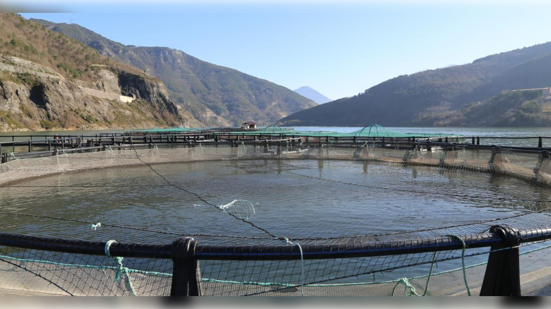Borçka Barajı Somon Üretim Tesisi