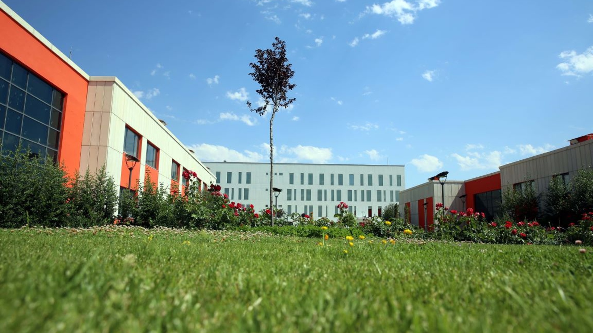 Çankırı Karatekin Üniversitesi