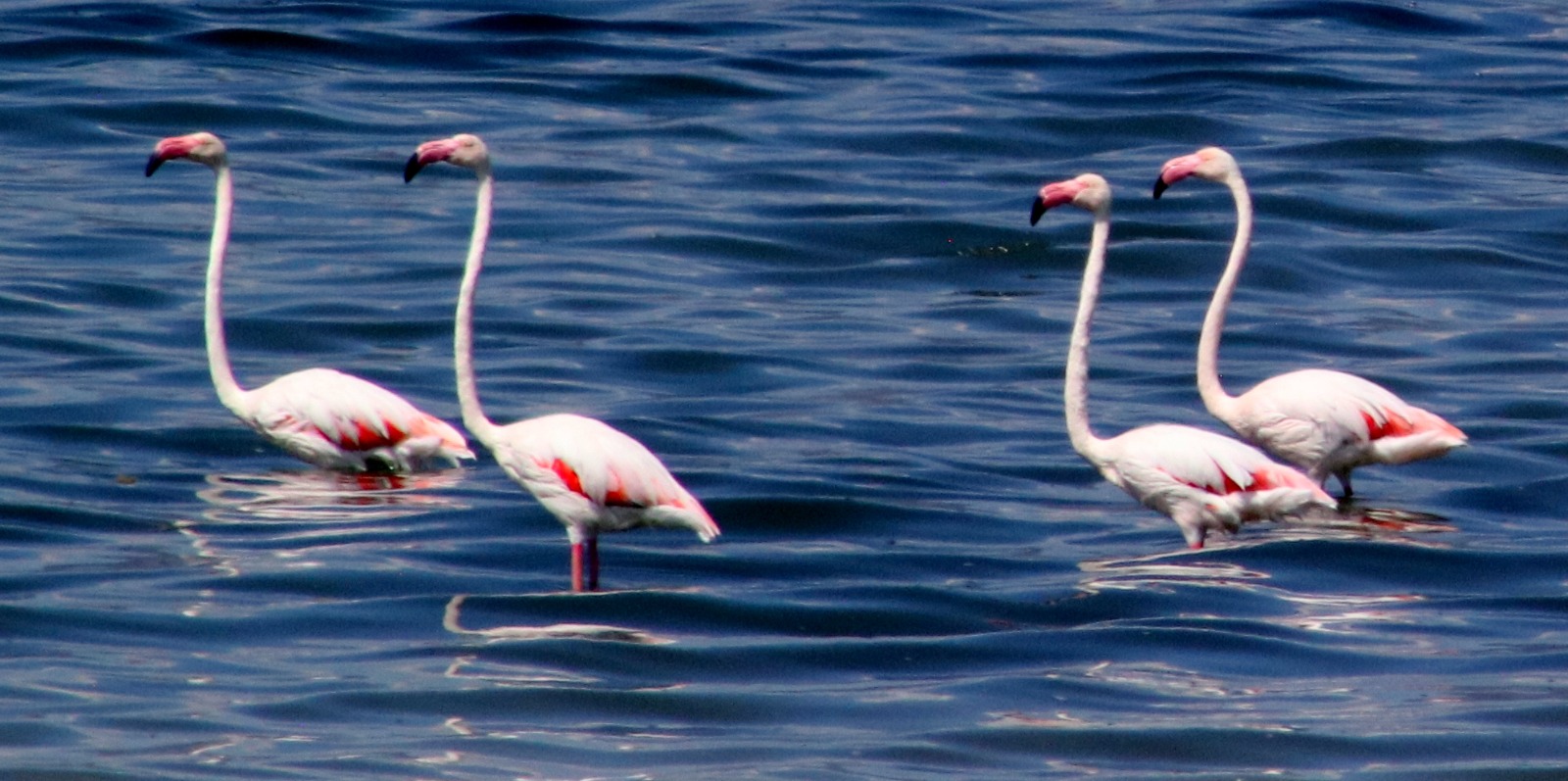 Yeşilova Salda Gölü