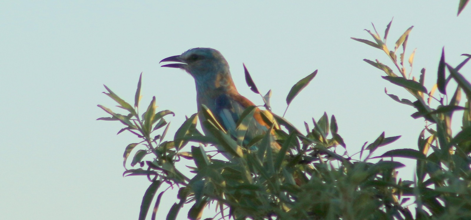 Burdur Lisinia Doğa Tabiat Parkı