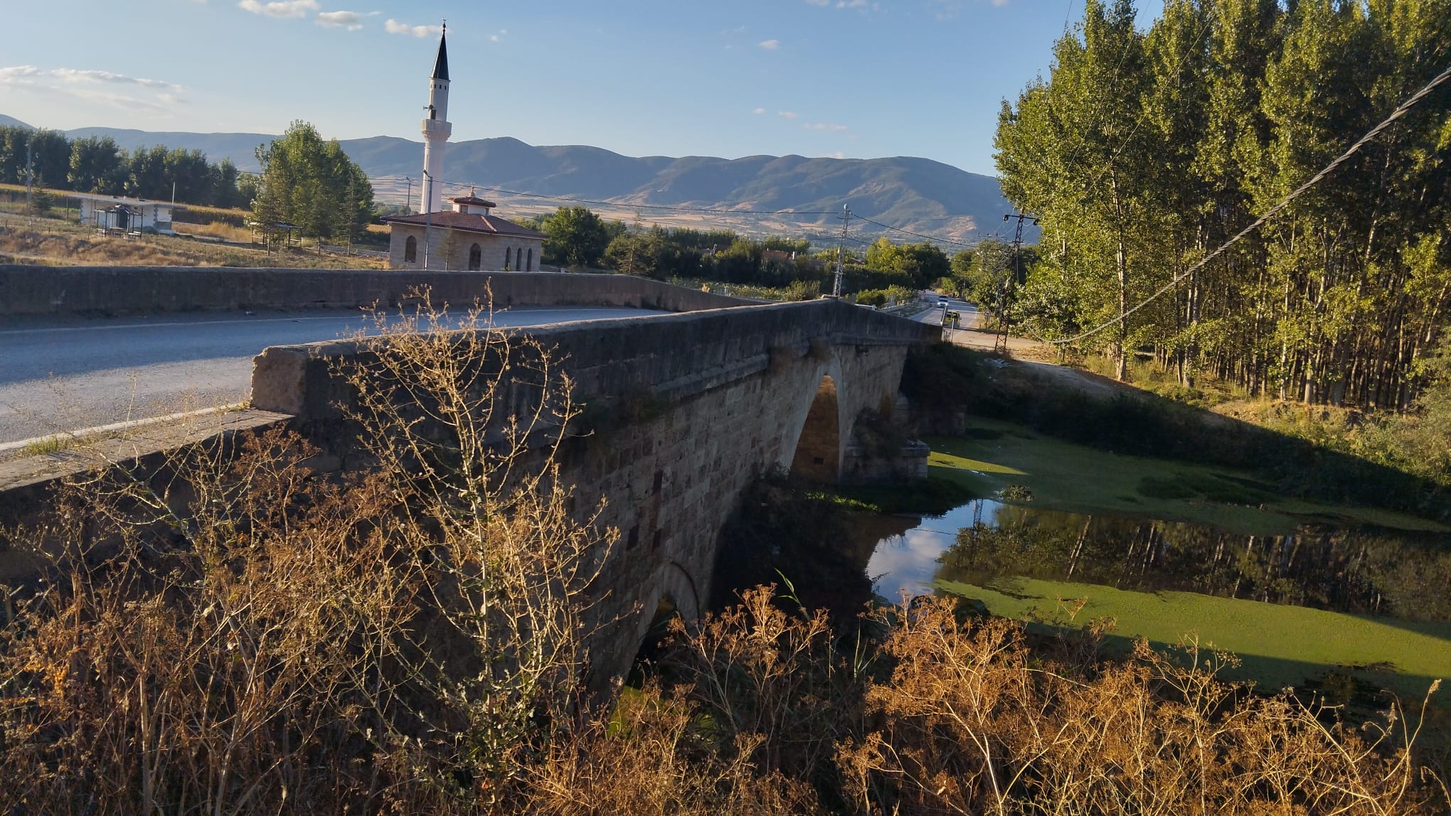 Pazar Tavukçu Köprüsü (Taş Köprü)
