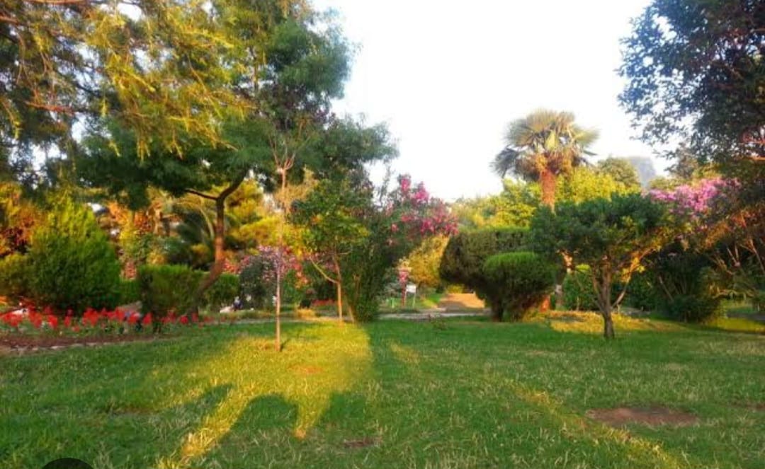 100. Yıl Parkı Doğal Sit Alanı