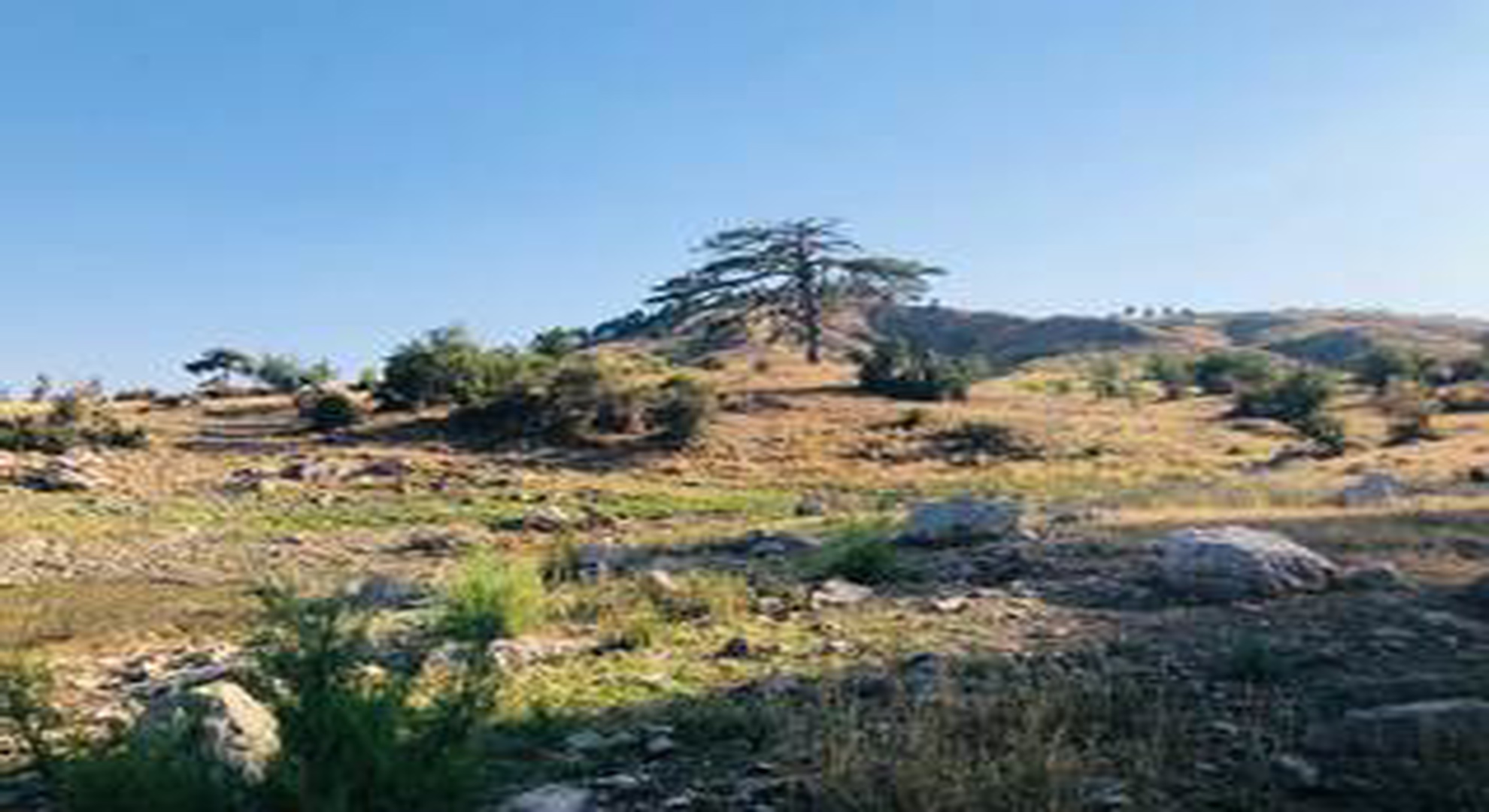 Çambaşı Sülüklü Göl