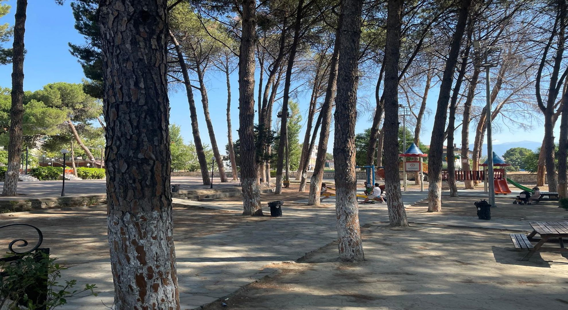 Sarayköy Yüzme Havuzlu Sosyal ve Kültürel Tesis