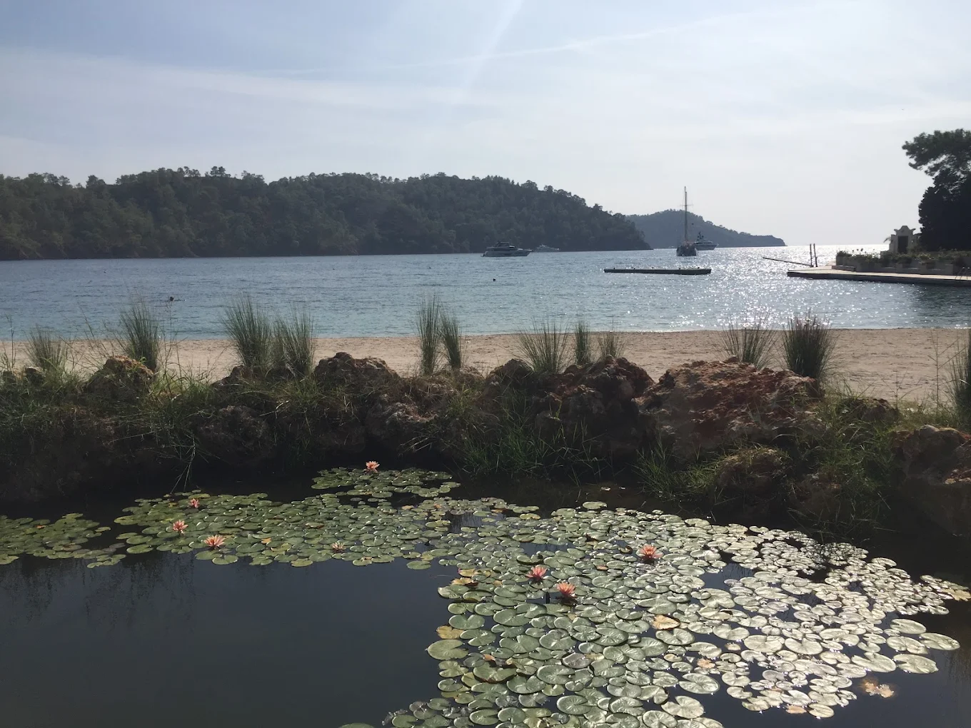 Küçük Kargı Tabiat Park