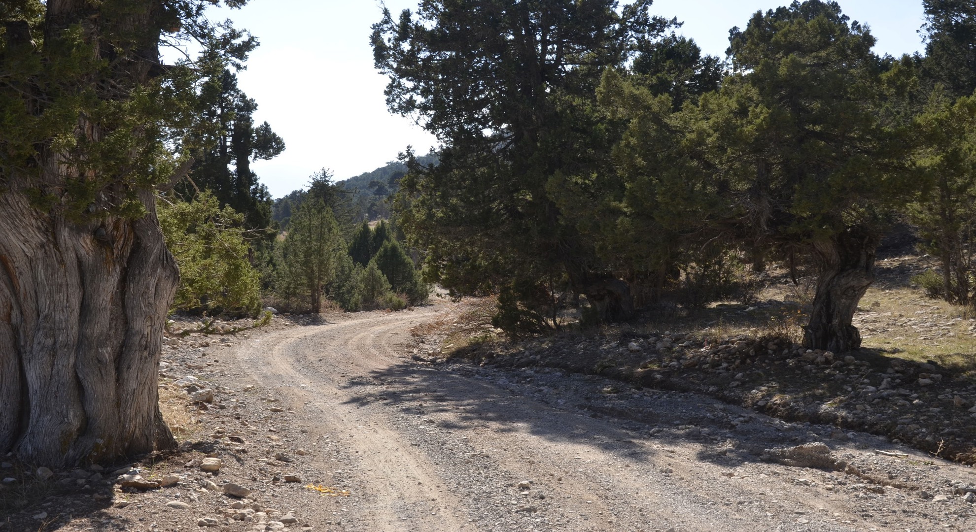 Çameli Yörük Oturağı