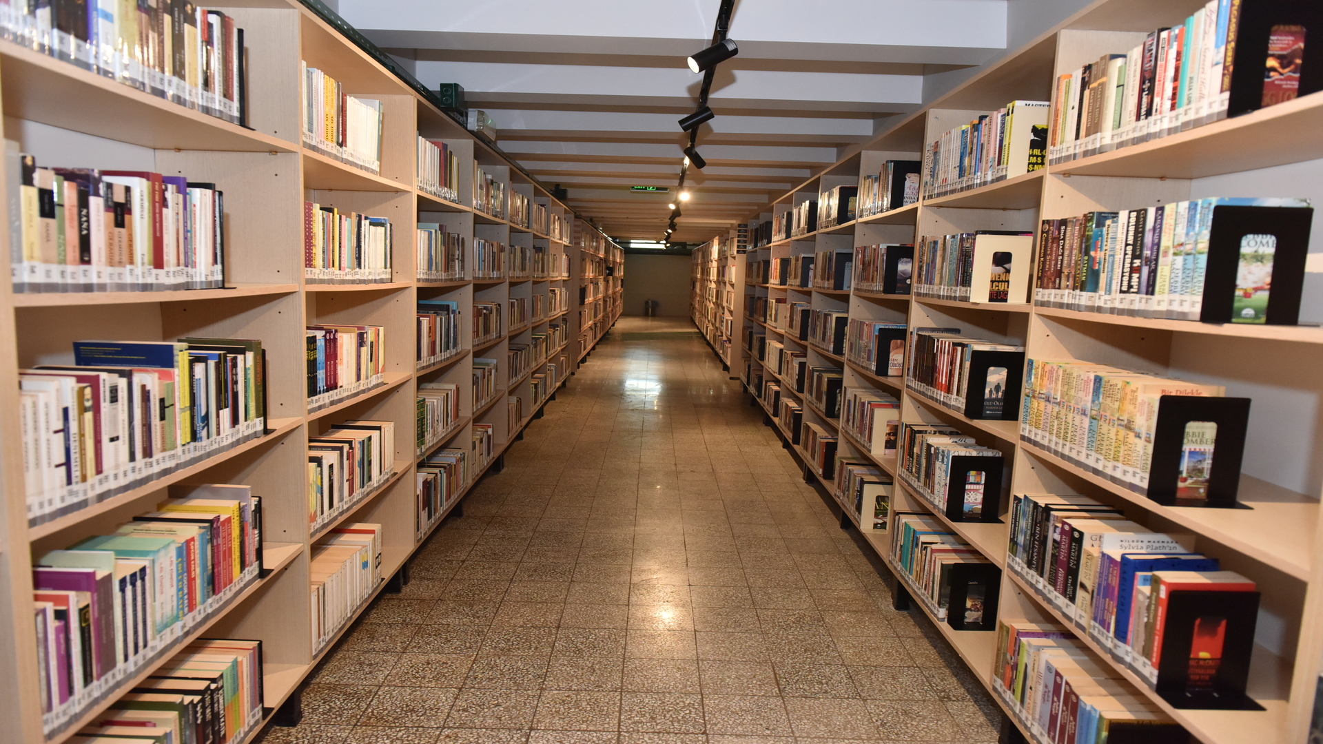 Cemil Meriç Kütüphanesi