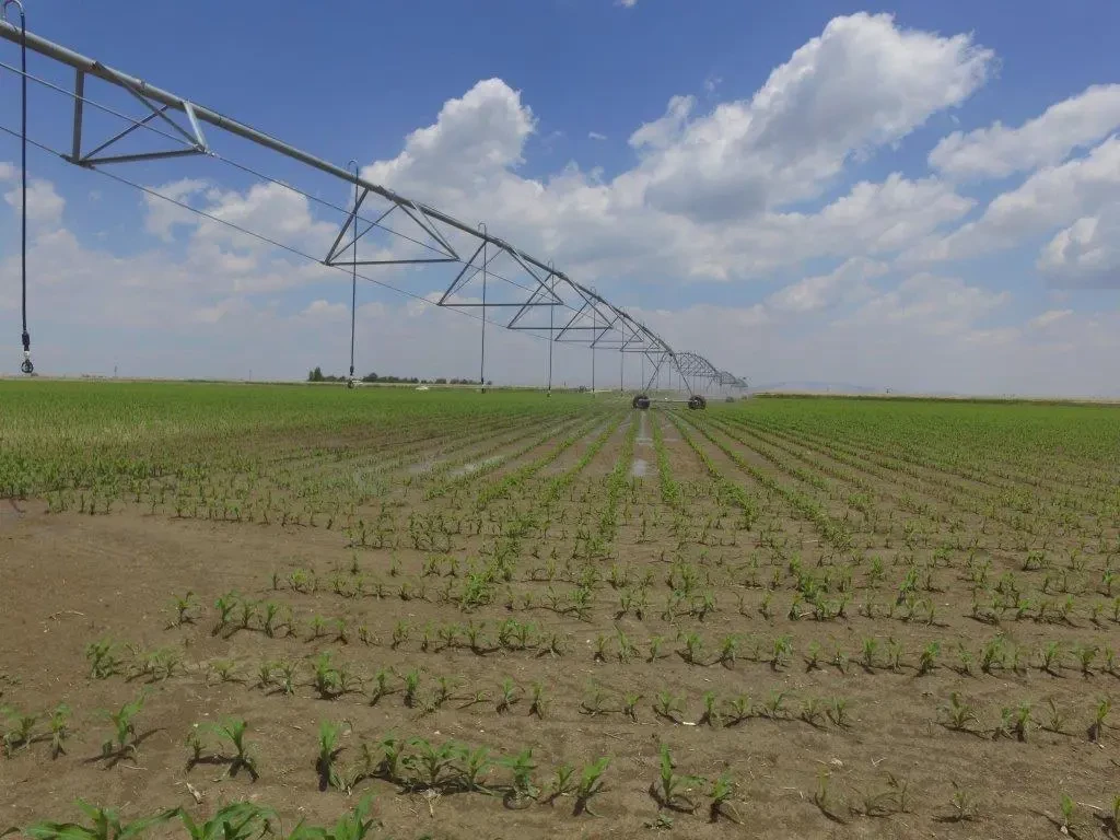 Bahri Dağdaş Uluslararası Araştırma Enstitüsü