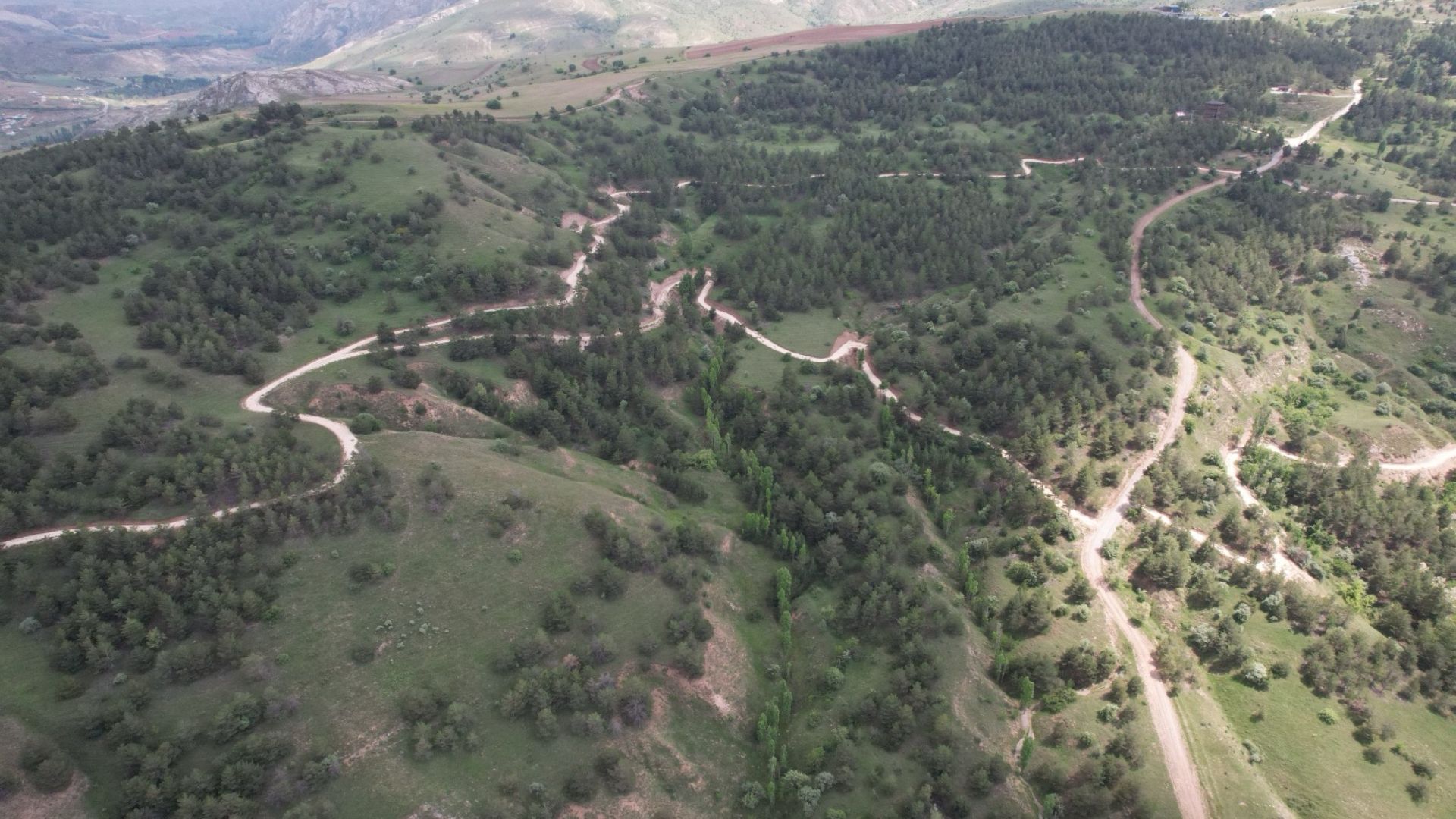 Kardeşler Kent Ormanı