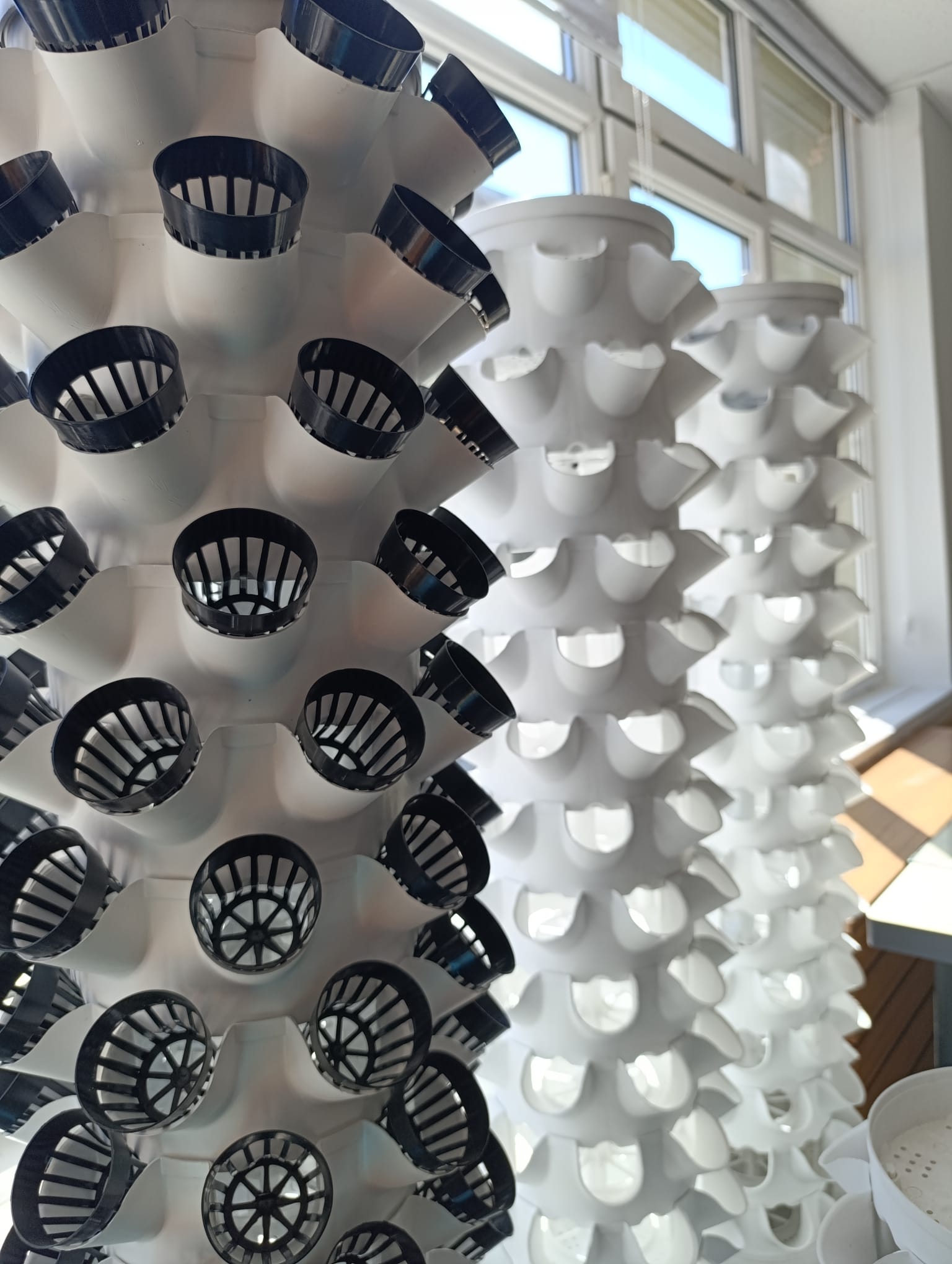 Ekoloji ve Topraksız Tarım Atölyesi