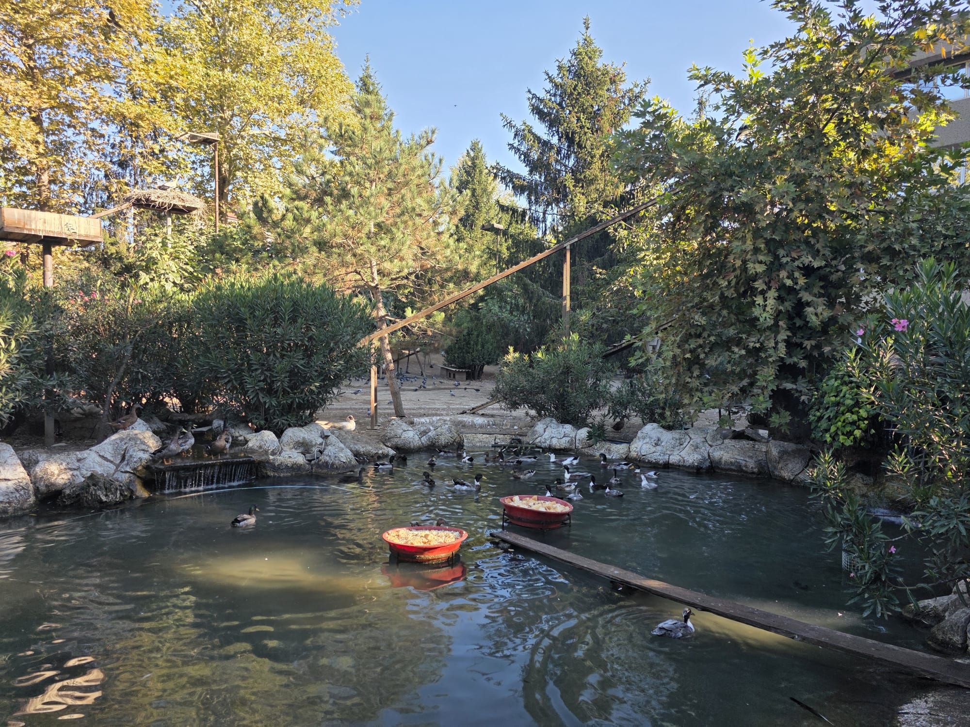 Çanakçılar Hayvanat Bahçesi ve Botanik Alanı