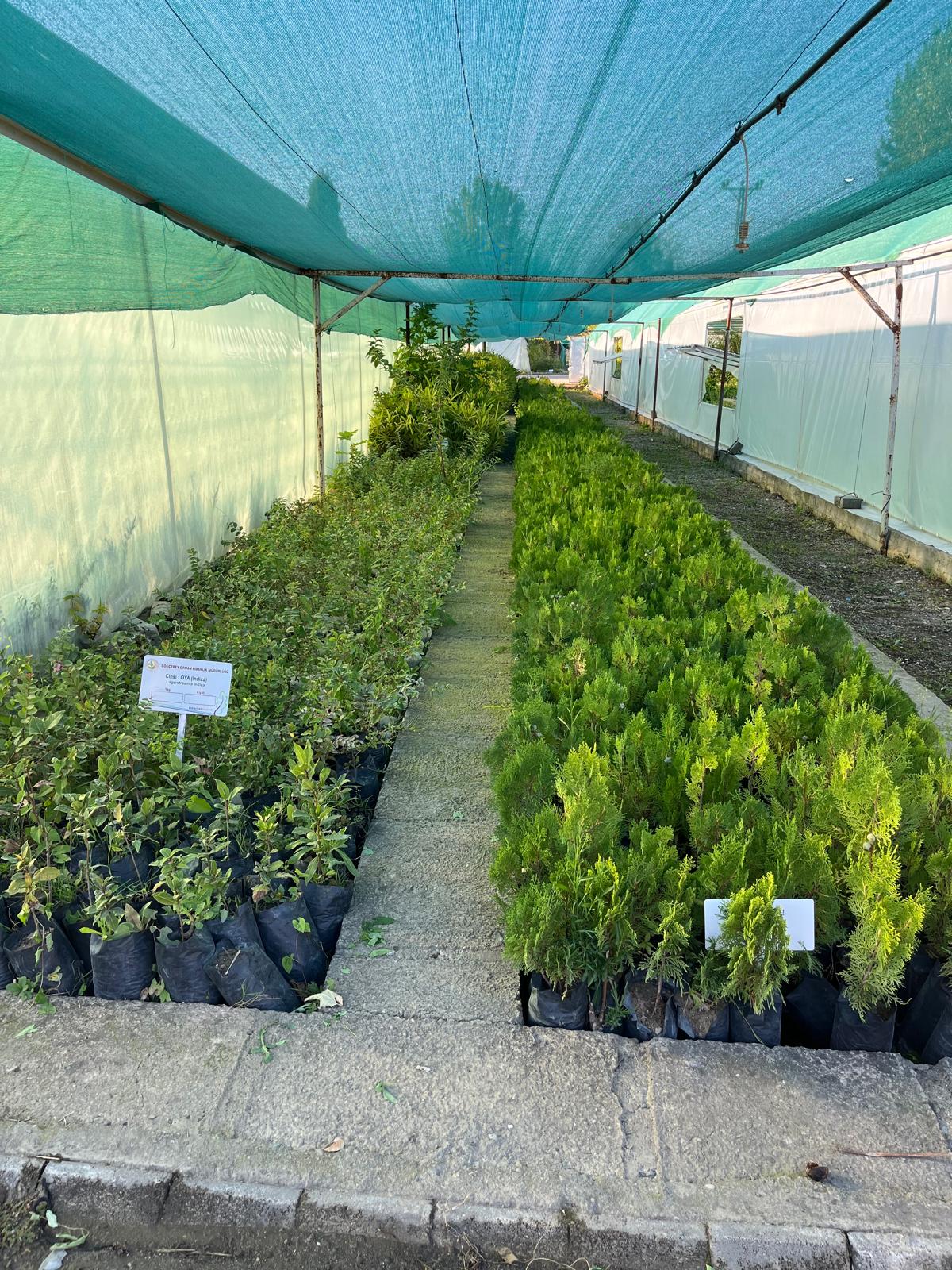 Gökçebey Fidanlık ve Biyoçeşitlilik Tesisi