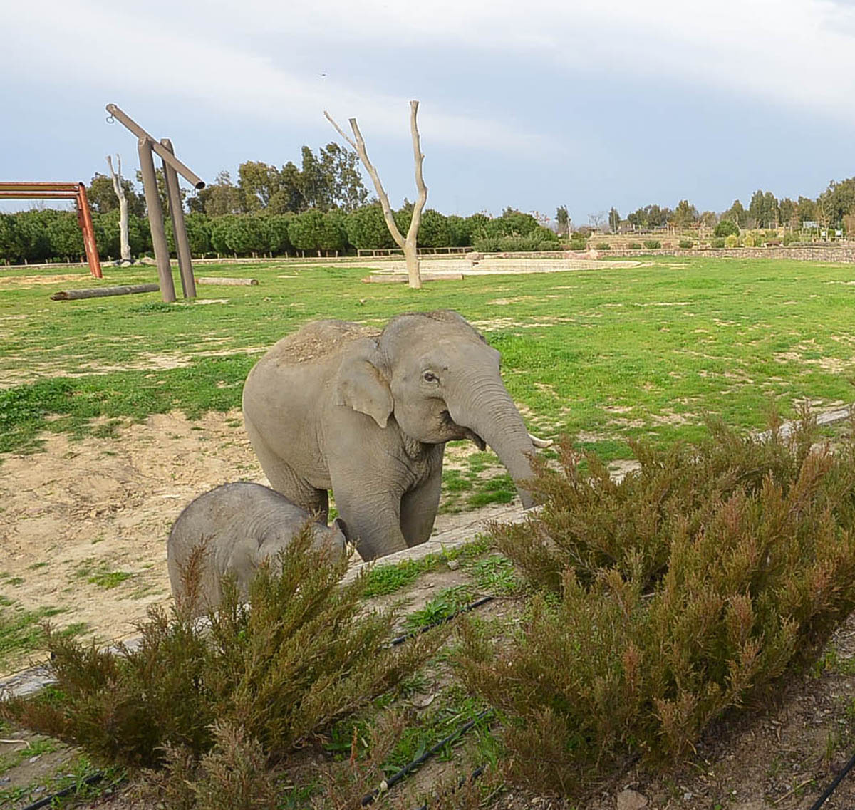 Sasalı Doğal Yaşam Parkı