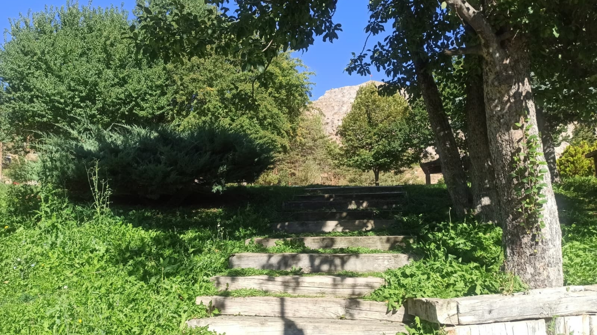 Paşabahçe Mesire Alanı