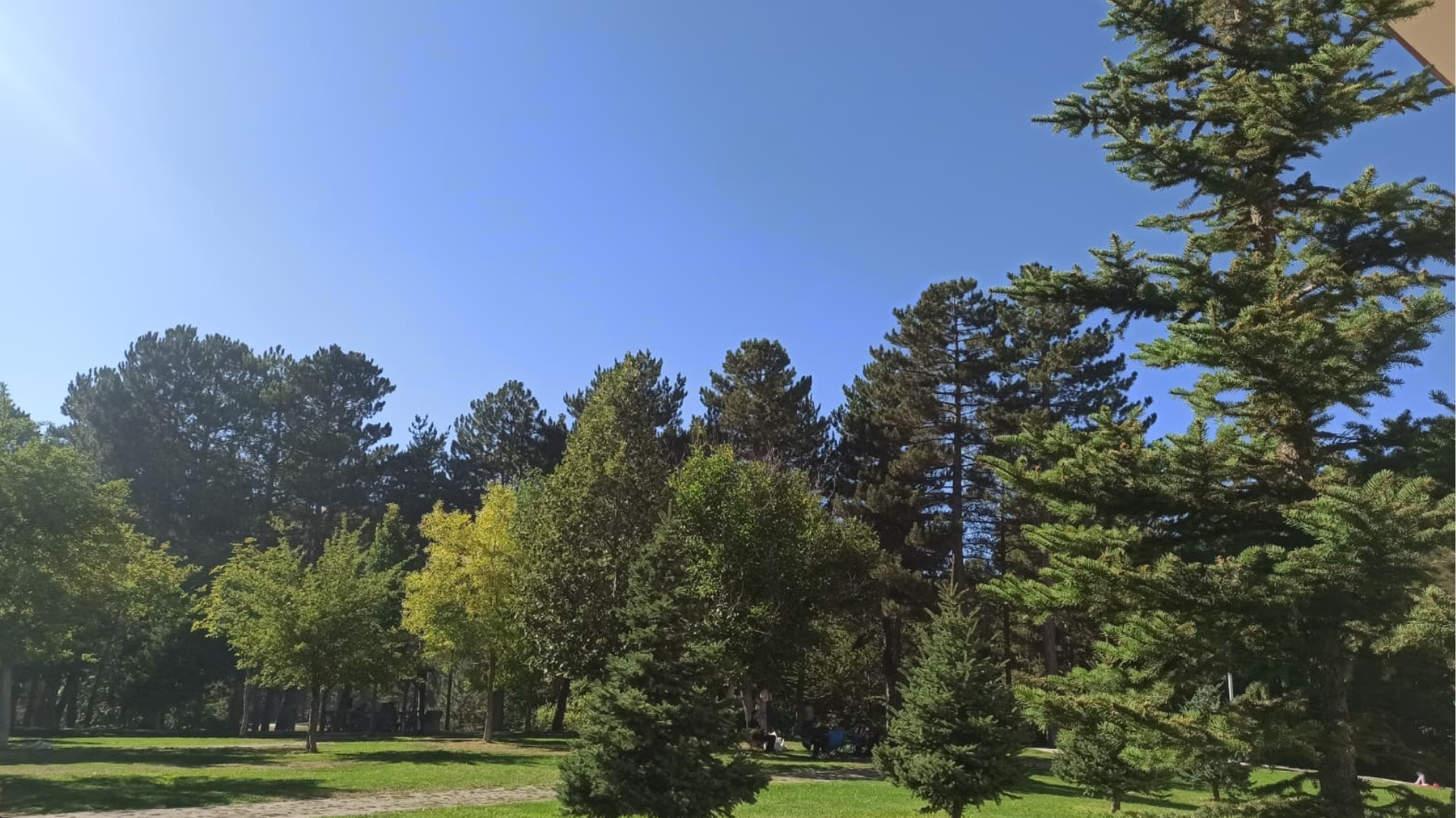 Paşabahçe Mesire Alanı