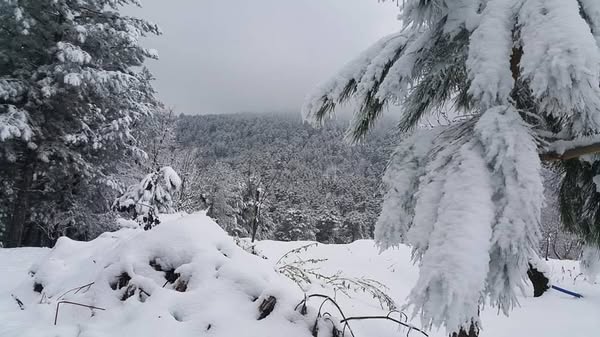 Belenova Sosyal Tesisleri