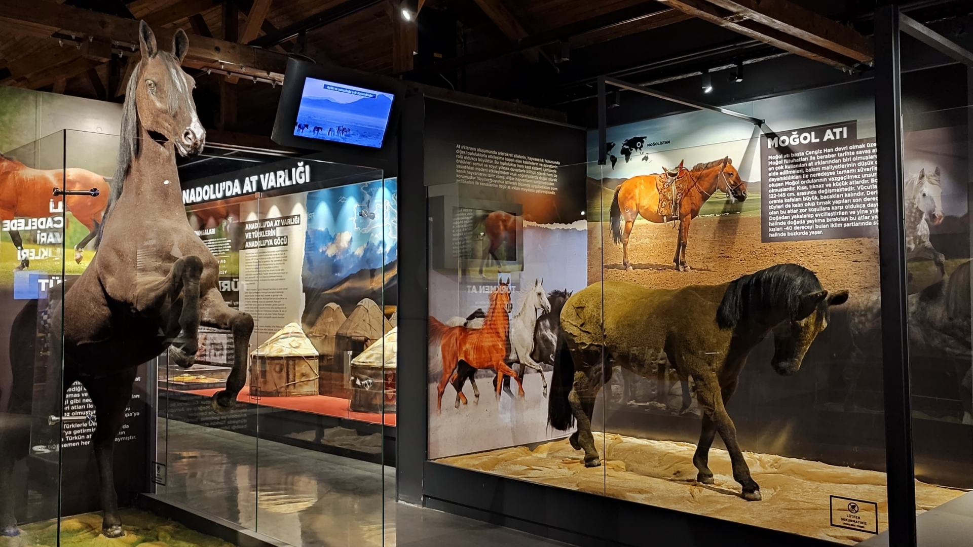 Savaş Atları Müzesi