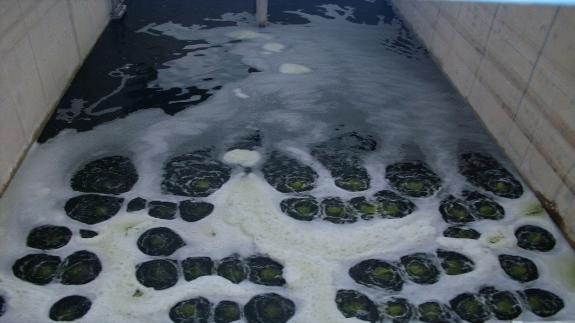 Belediye Atık Su Arıtma Tesisi