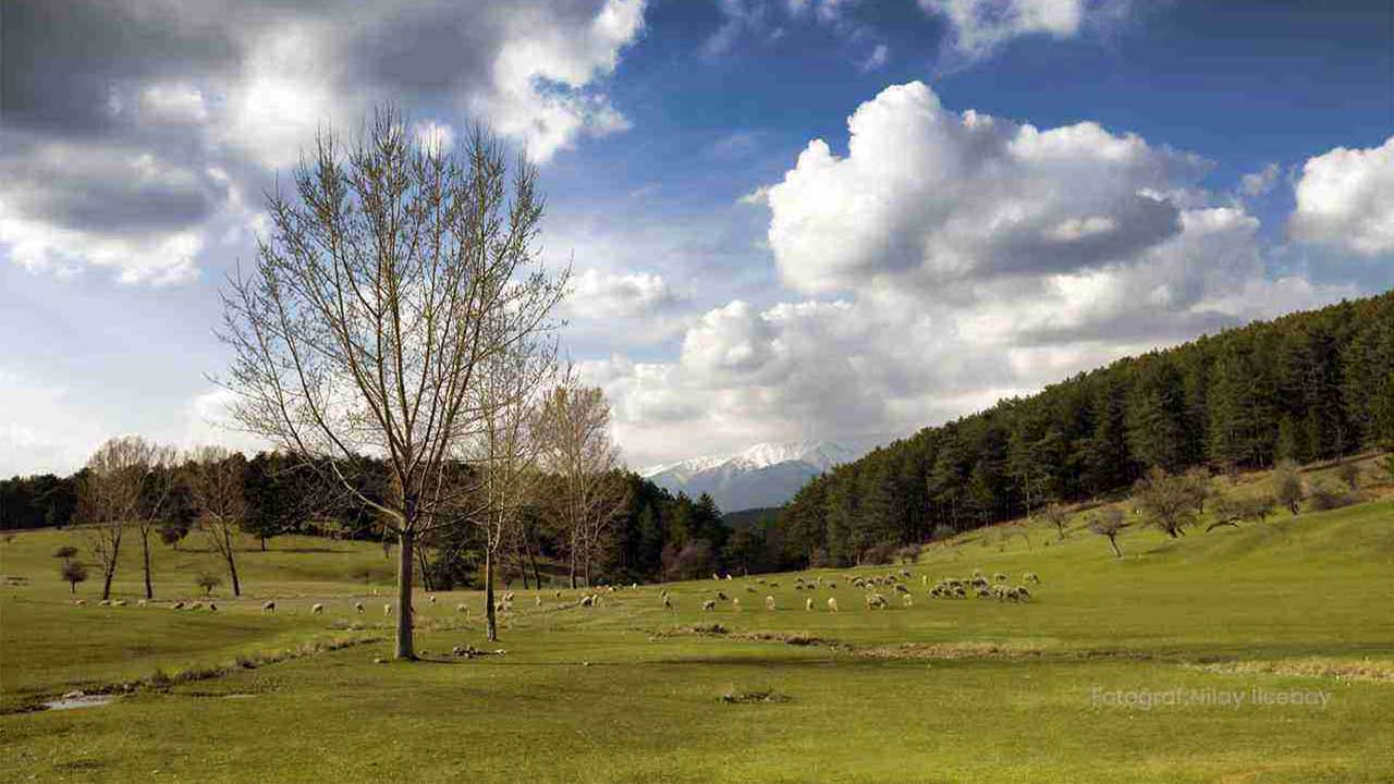 Keles Gököz Gölü ve Maremşah Yaylası