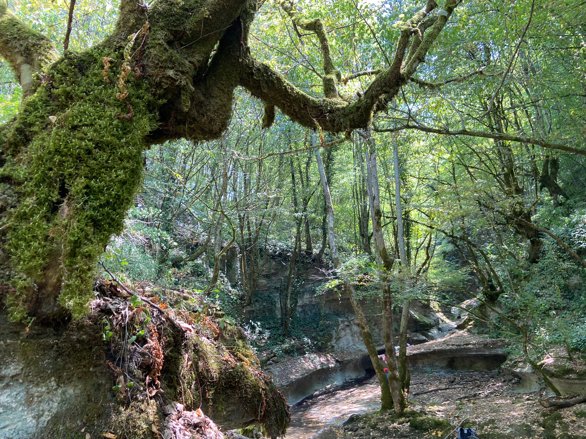 Gökçebey Süzek Deresi Şelaleleri ve Kanyonu