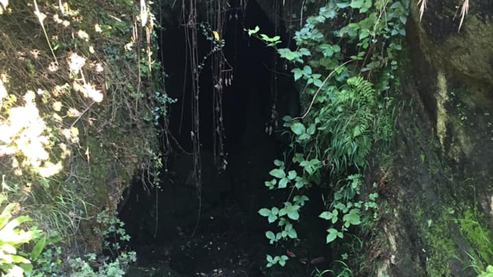 Boğazcık Mağarası