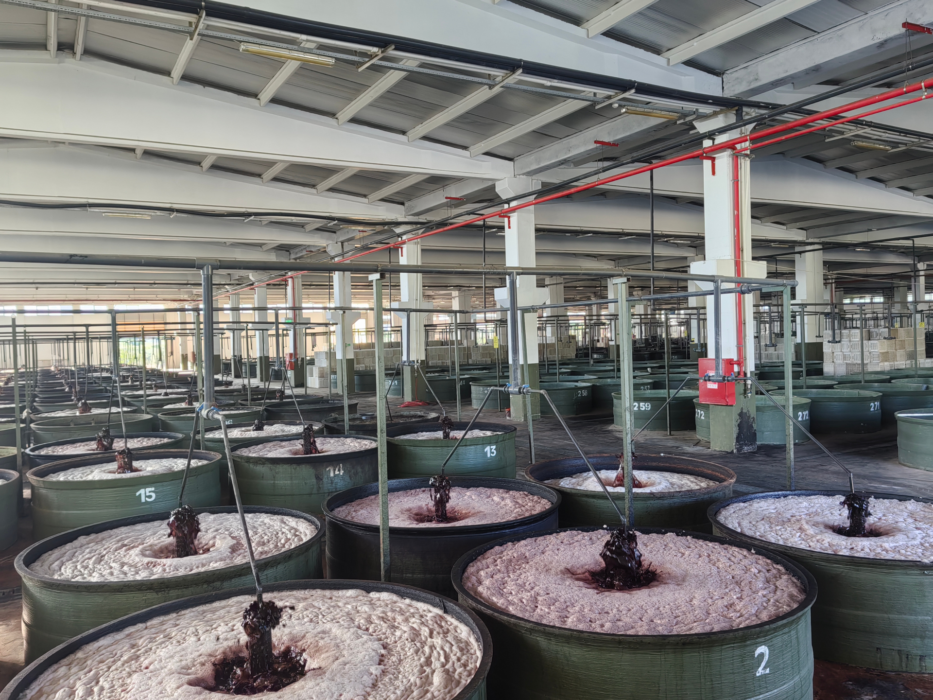 S.S.162 Sayılı Erdek  Zeytin Tarım Satış Kooperatifi