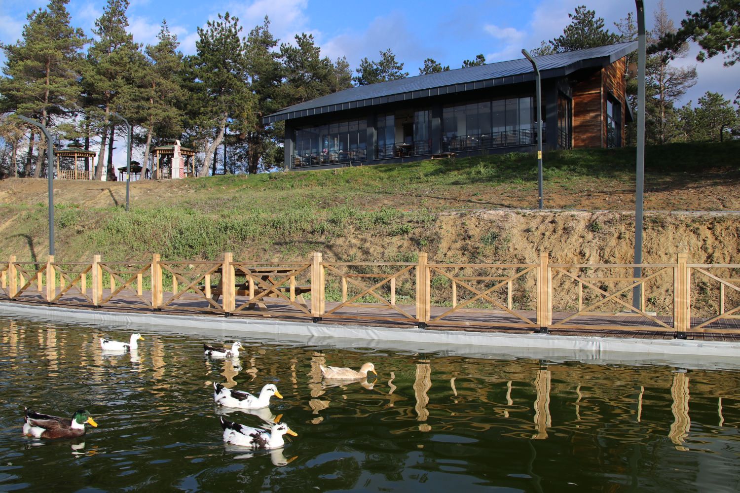 Gerede Millet Bahçesi