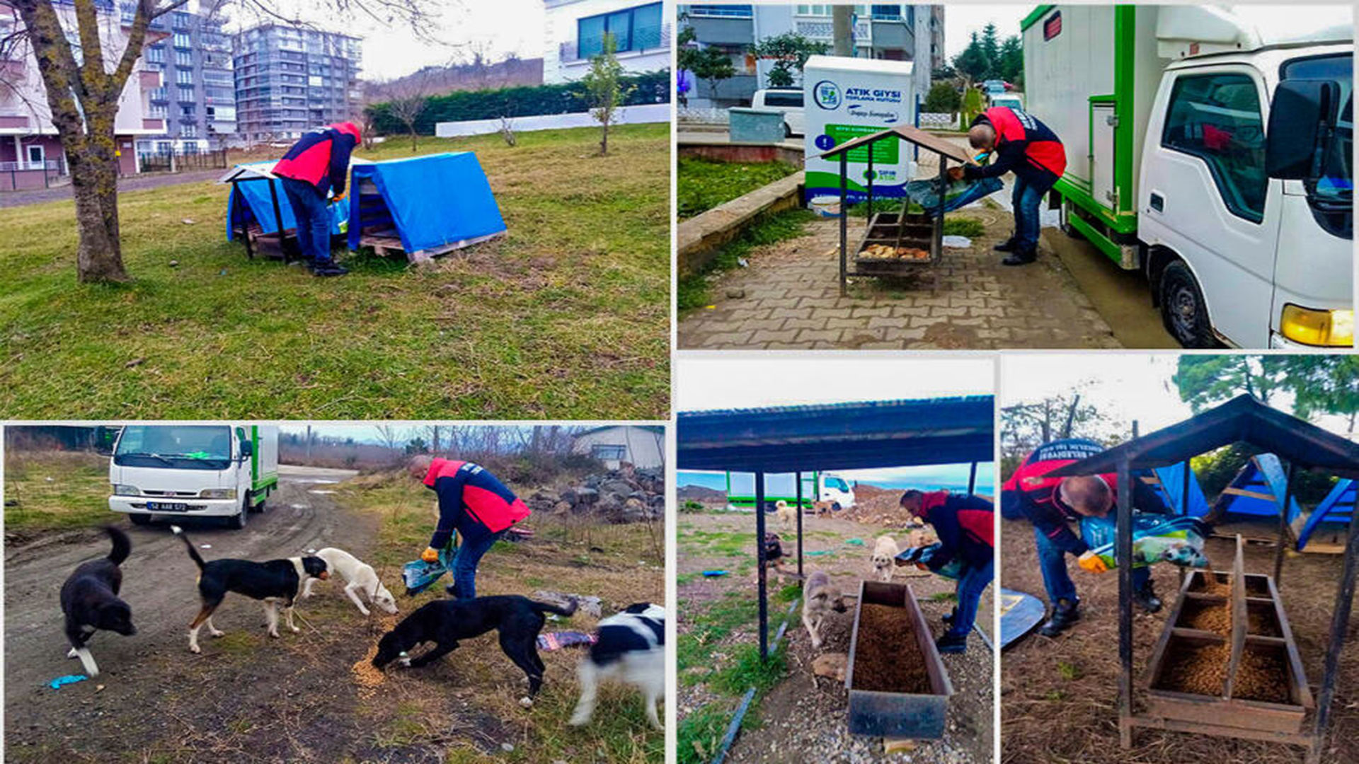 Ünye Belediyesi  Kompost  ve Sokak Hayvanları Mama Üretim Merkezi