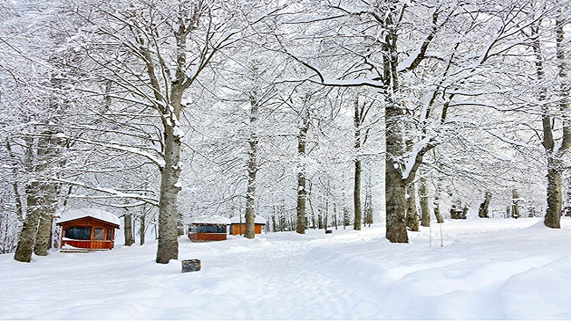 Akkuş Kertil Sosyal Tesisi