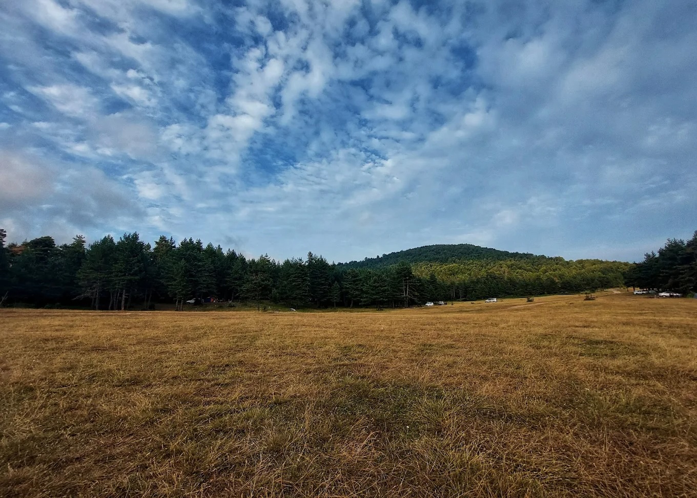 Pamukova Ercova Yaylası