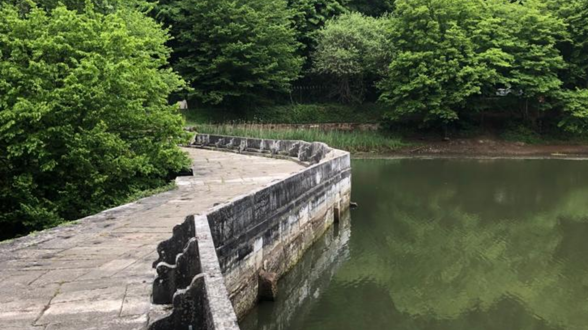 Belgrad Ormanın - Bentler Tabiat Parkı