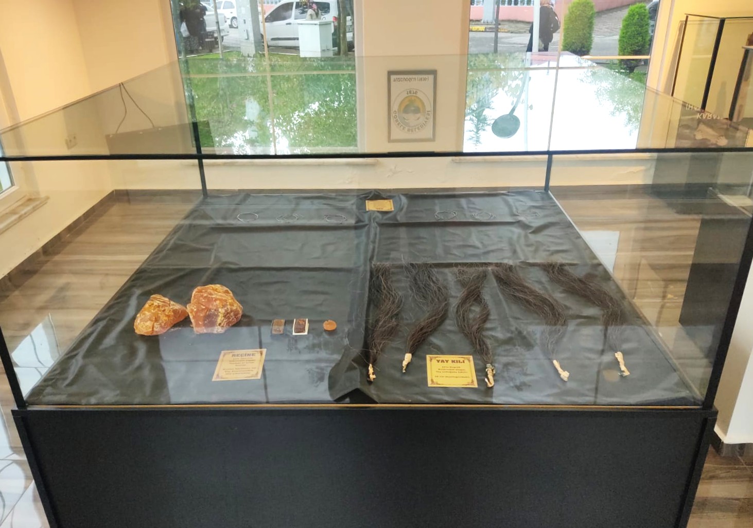 Görele Belediyesi Kemençe Müzesi