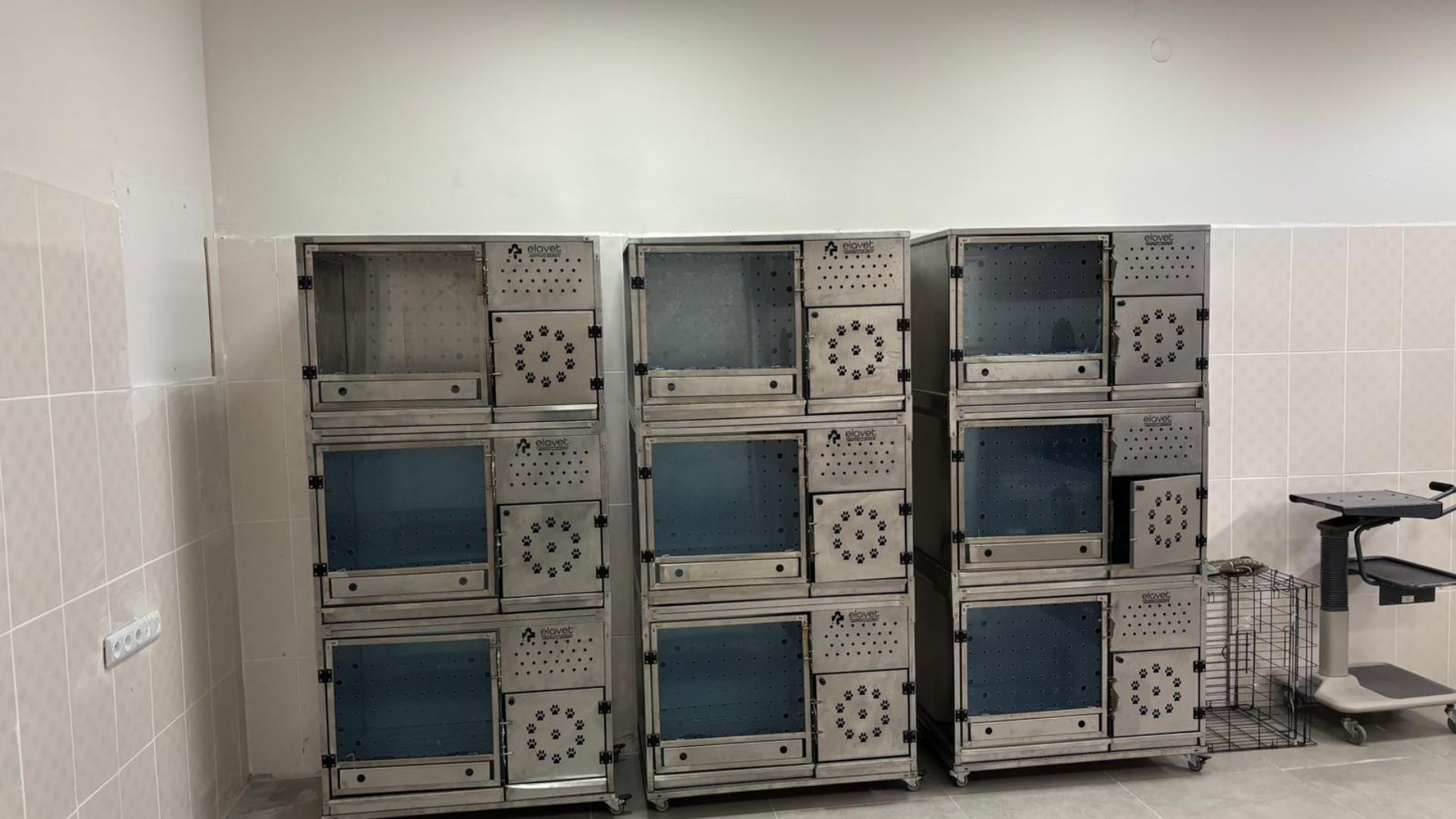 Cumhuriyet Üniversitesi Hayvan Hastanesi