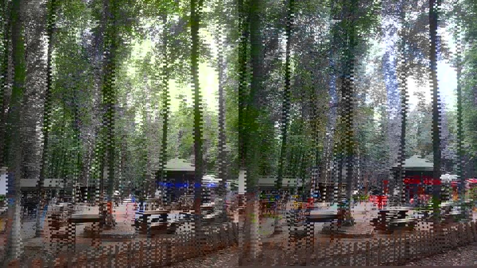 Asarkaya Kent Ormanı