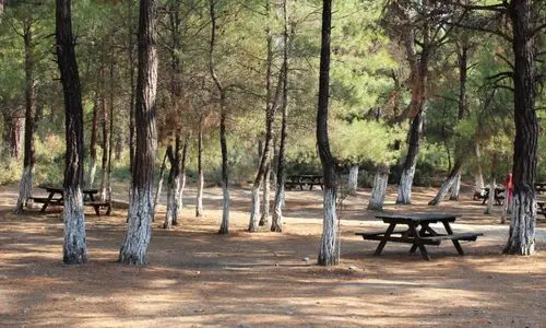 Çenedere Mesire Alanı