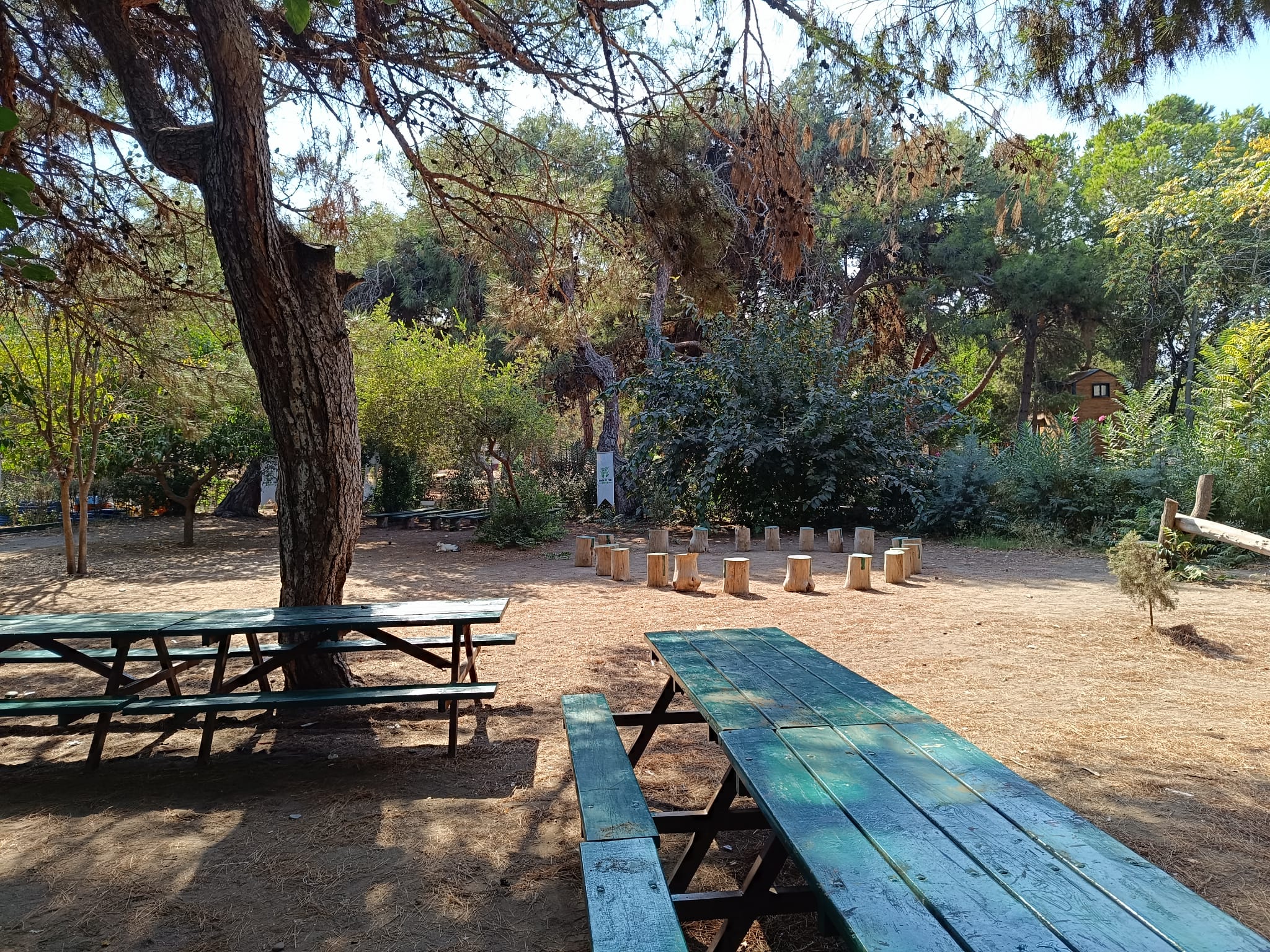 Erdemli Doğa ve Fen Okulu - Mersin