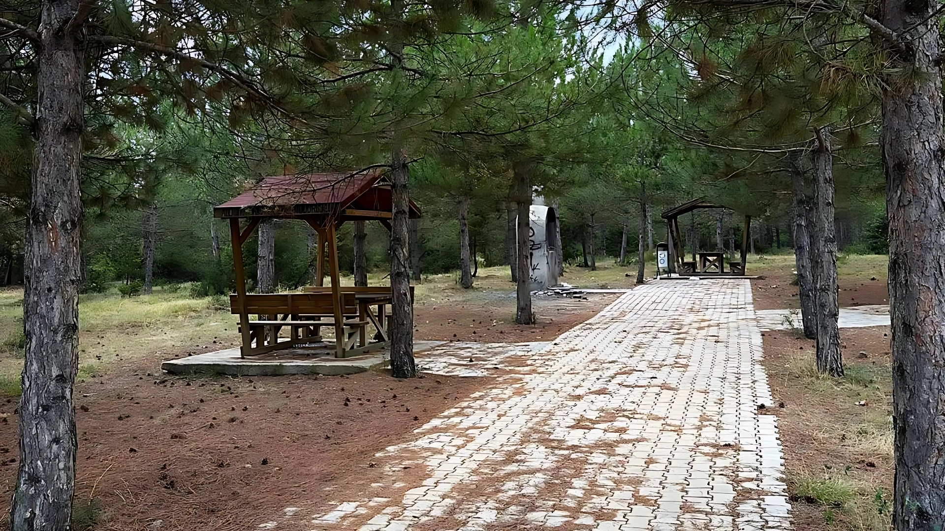 Altıntaş Belediyesi Mesire Alanı