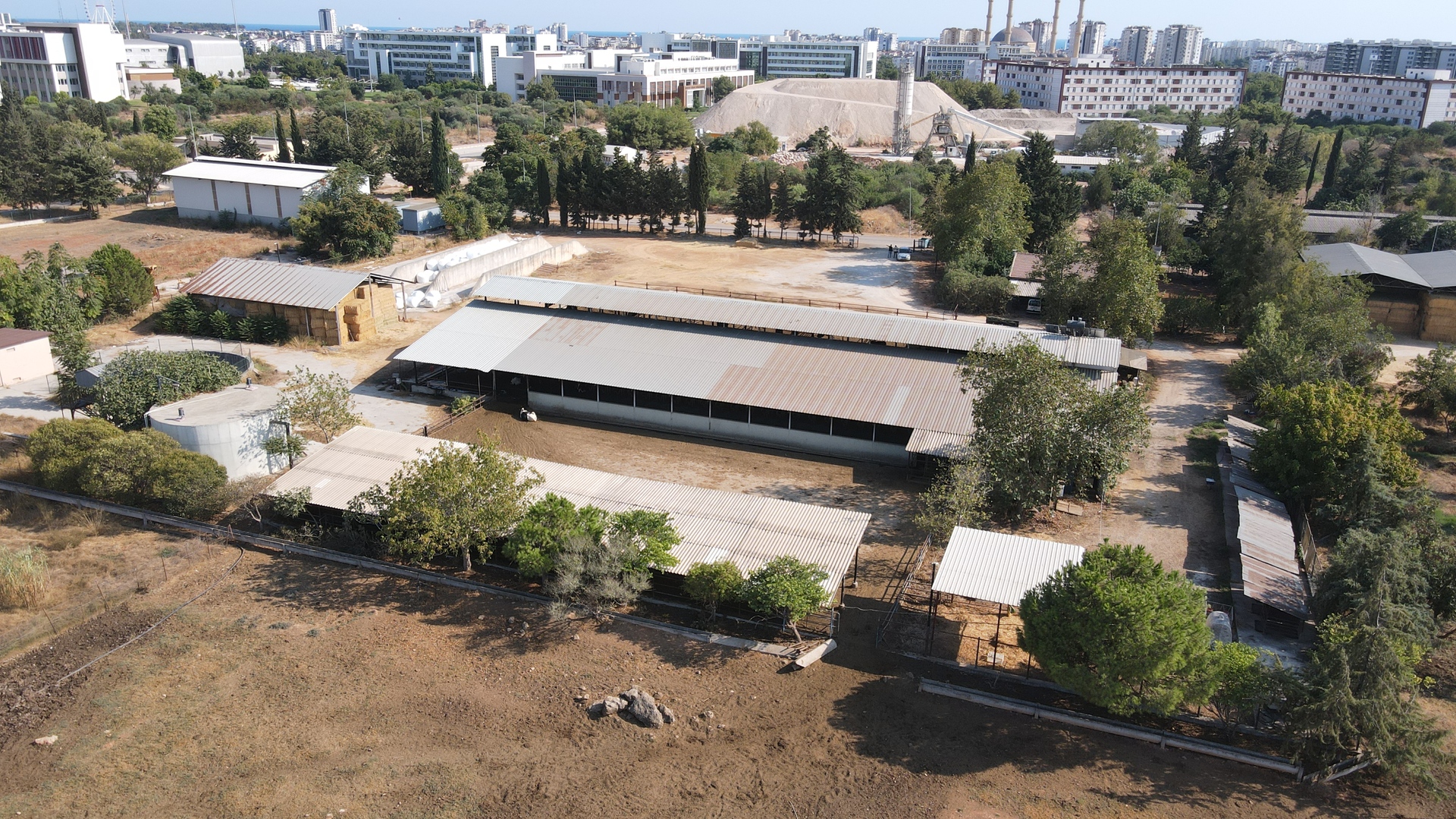 Akdeniz Üniversitesi Ziraat Fakültesi Büyükbaş Hayvancılık Tesisi