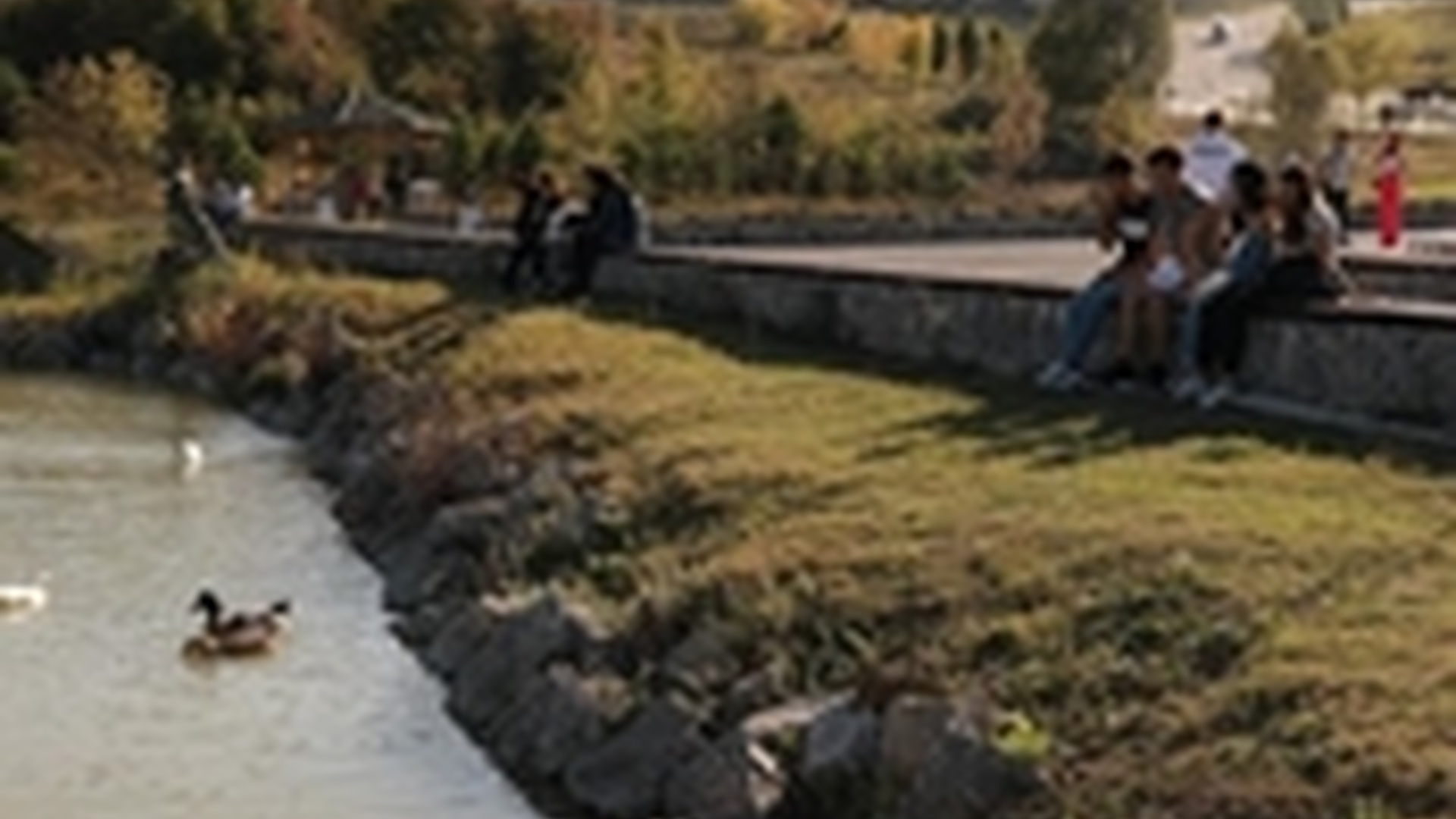 Bartın Üniversitesi Gölet Alanı