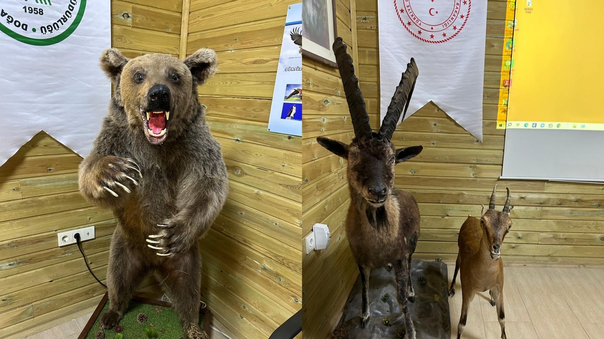 Günnücek Milli Parkı