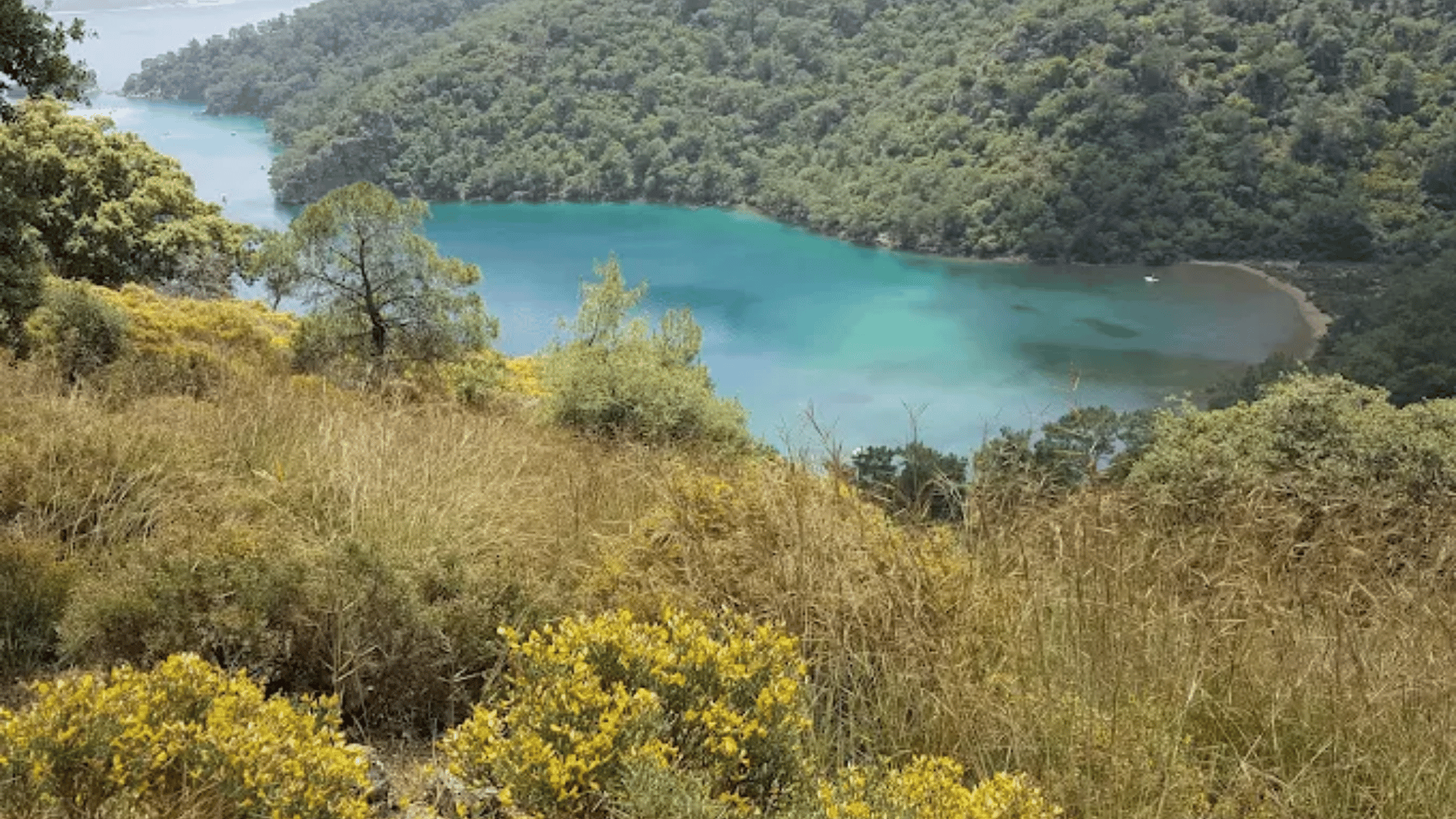 Ölüdeniz Tabiat Parkı