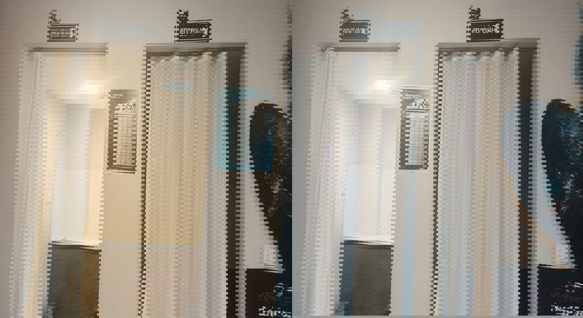 Özel Denizli Hayvan Hastanesi