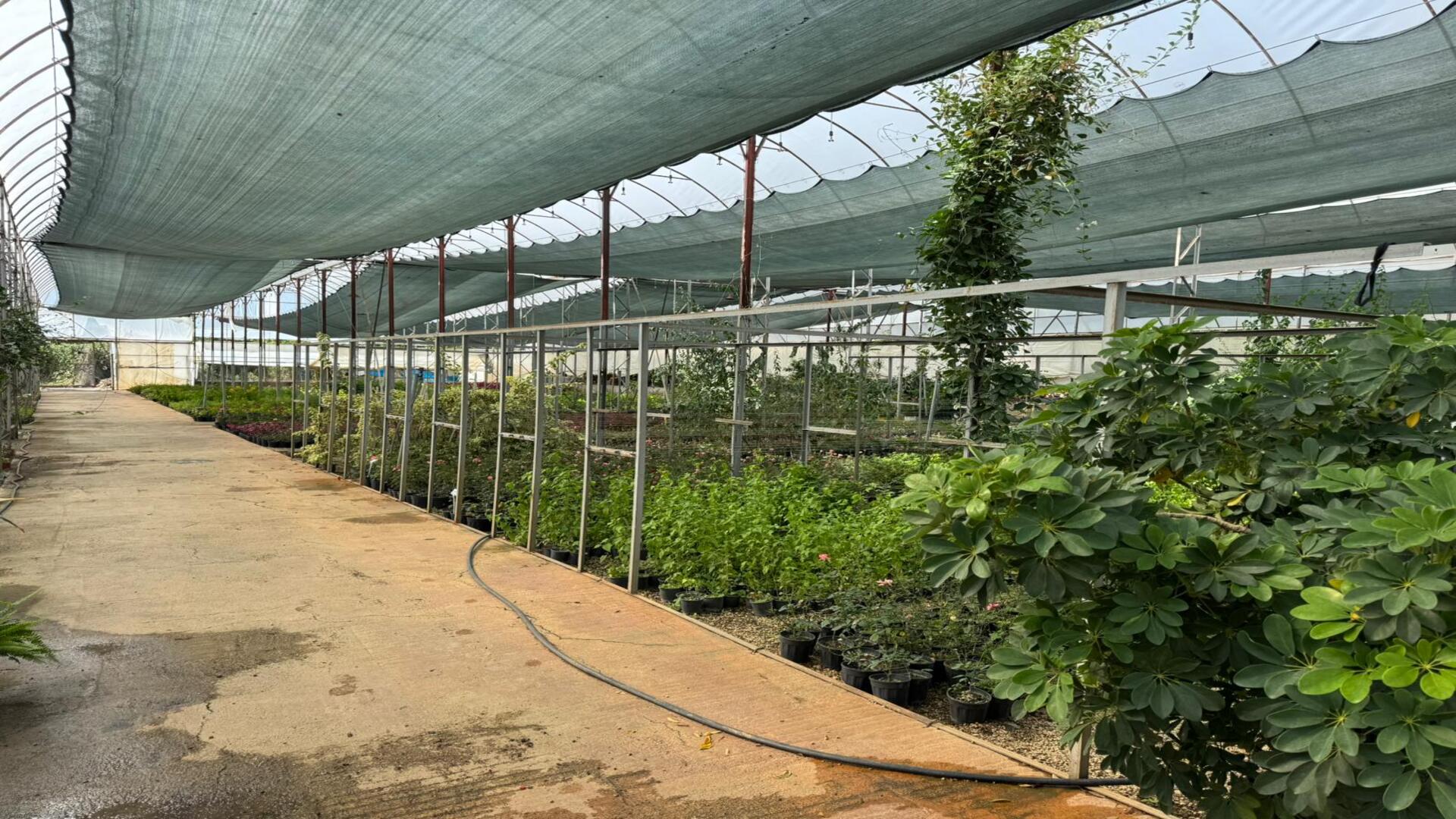 Alanya Belediyesi Merkez Oba Şantiyesi ve Serası