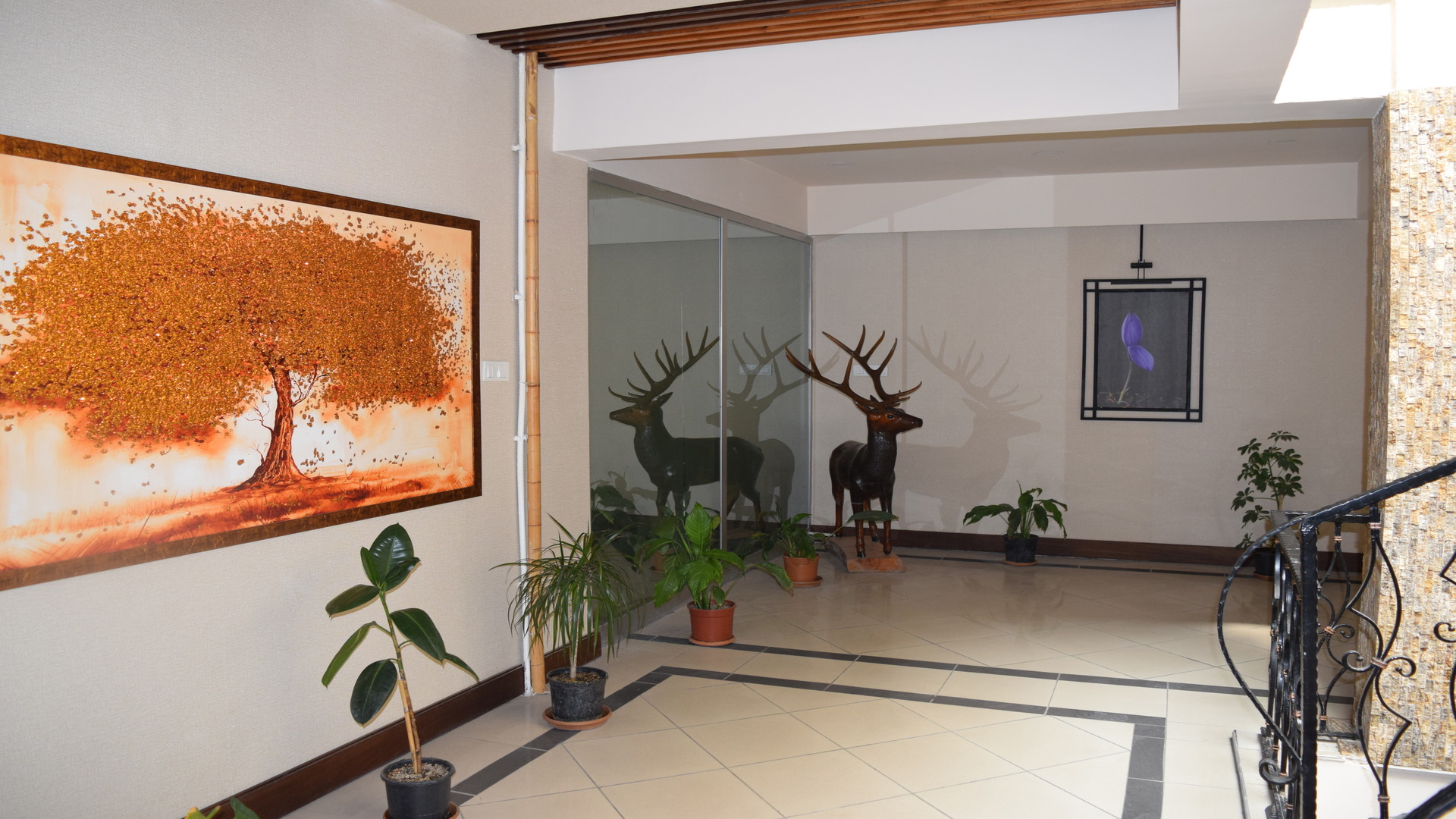 Amasya İl Tarım ve Orman Müdürlüğü