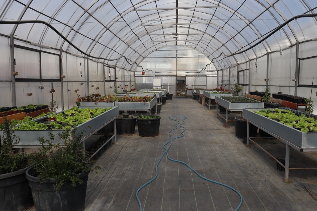 İbn-i Sina Mesleki ve Teknik Anadolu Lisesi Topraksız Tarım Serası