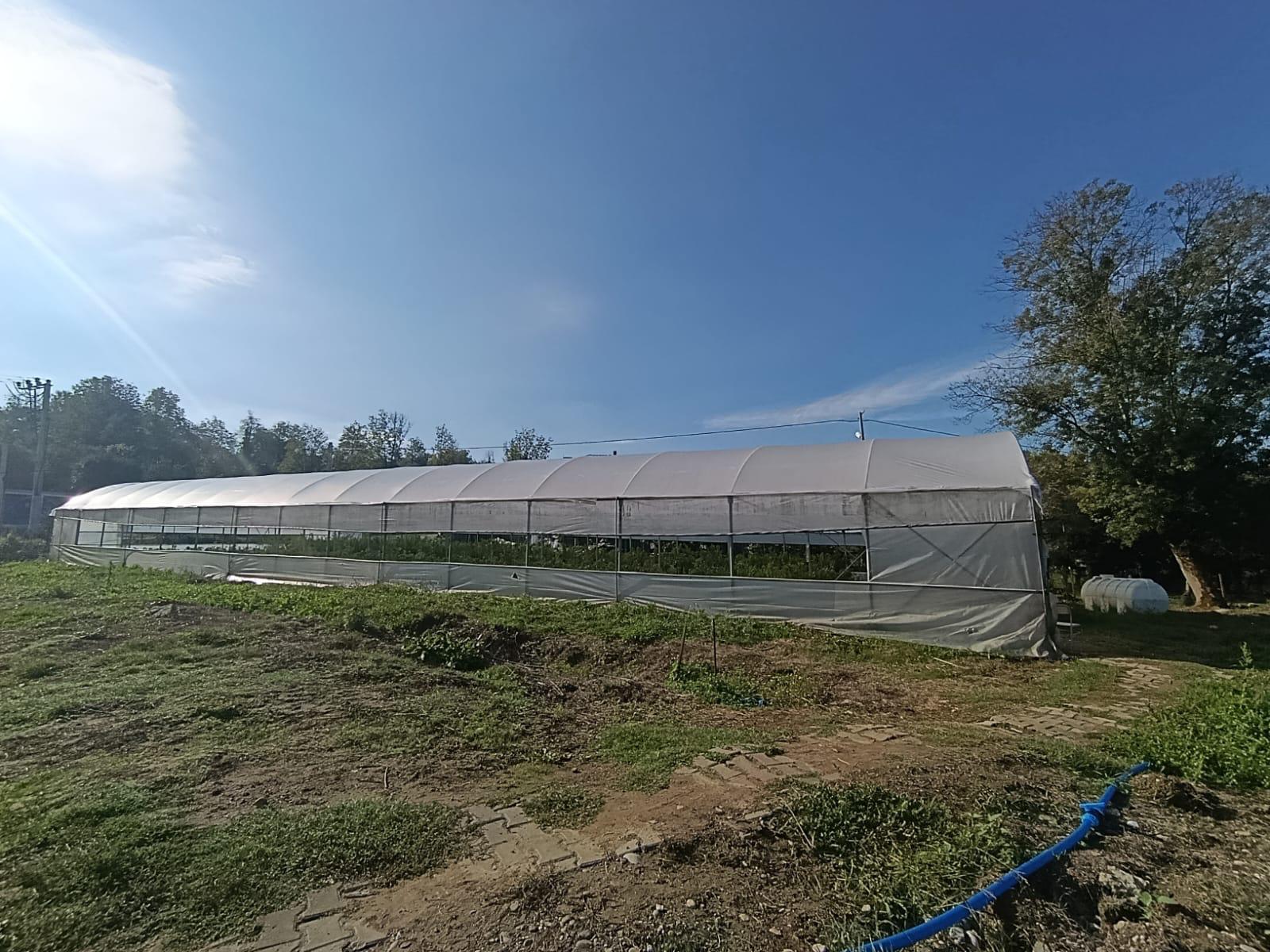 ŞEHİT SACİT OLCAY KABAKLIOĞLU TARIM MESLEKİ VE TEKNİK ANADOLU LİSESİ